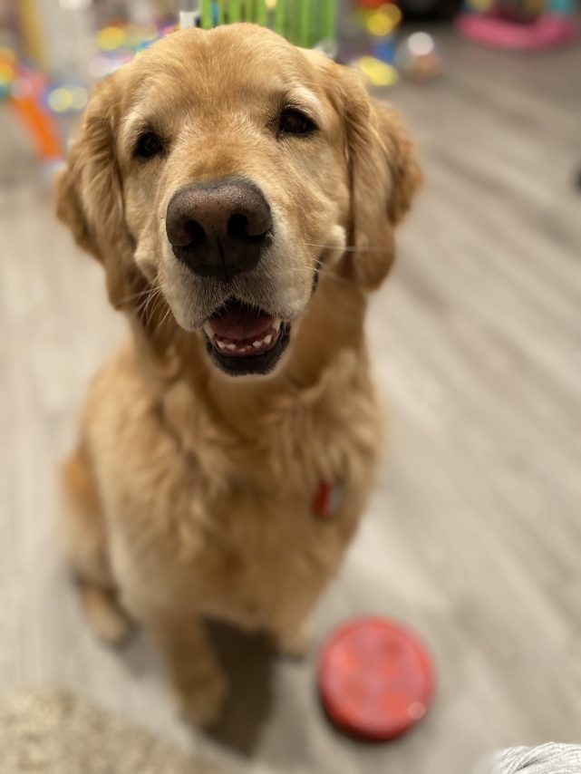 Butters helped ease the weight of the experience of a person with depression