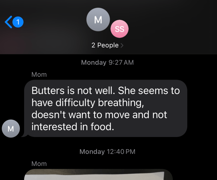 My dog helped me deal with depression for years but she was going to die soon